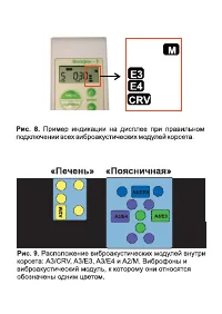 Страница 39
