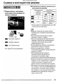 Страница 43