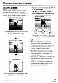 Страница 43