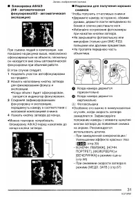 Страница 31