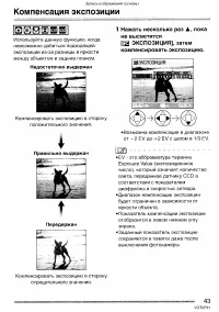 Страница 43