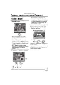 Страница 43