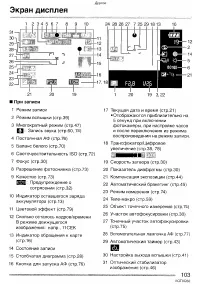Страница 103