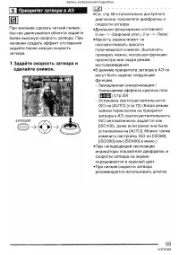 Страница 55