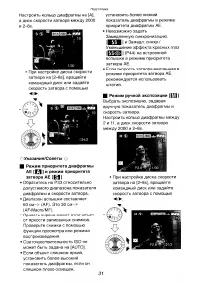 Страница 31
