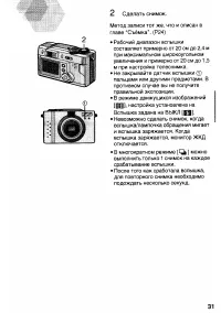 Страница 31