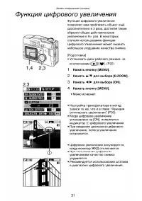 Страница 31