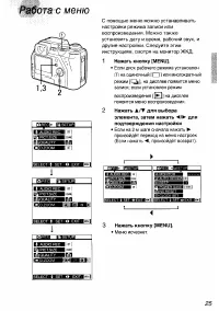 Страница 25