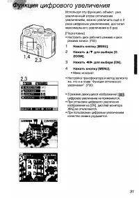 Страница 31