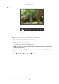 Страница 43
