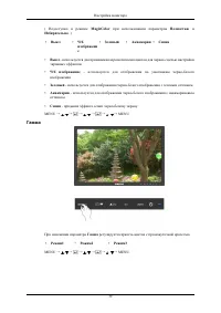 Страница 40