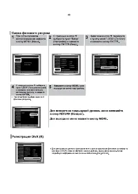 Страница 41