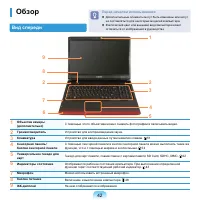 Страница 43