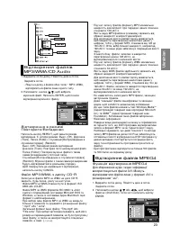 Страница 58