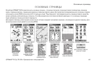 Страница 43