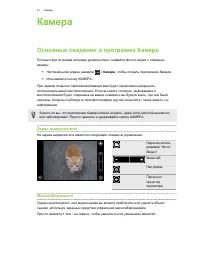 Страница 41