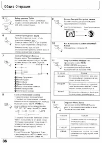 Страница 36