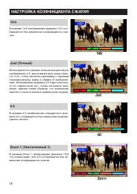 Страница 12
