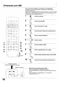Страница 55