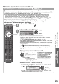 Страница 43