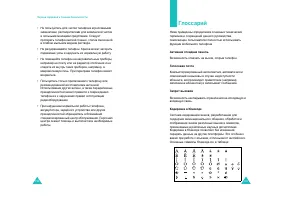 Страница 99