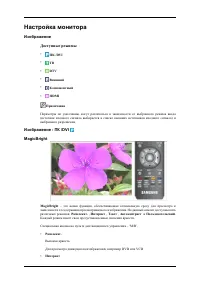 Страница 40