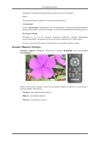 Страница 41