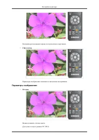 Страница 43
