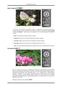 Страница 61
