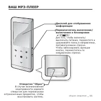 Страница 11