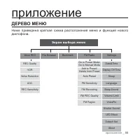 Страница 55