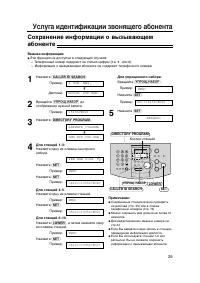 Страница 29
