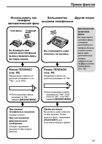 Страница 43