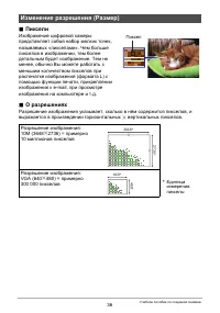 Страница 36