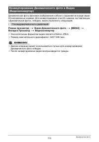 Страница 113