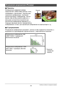 Страница 33