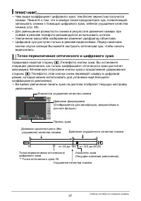 Страница 37