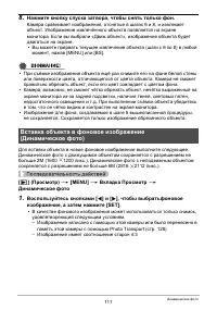 Страница 111