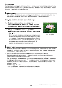 Страница 38
