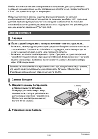 Страница 120