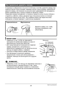 Страница 25