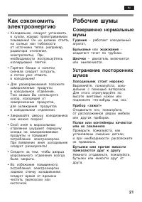 Страница 21