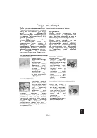 Страница 85