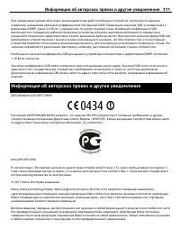 Страница 111