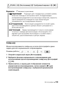 Страница 119