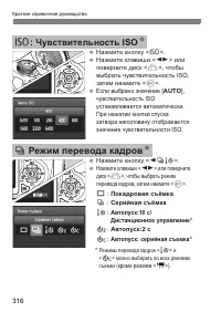 Страница 316