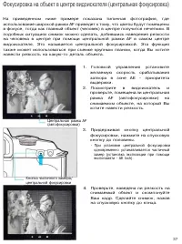 Страница 37