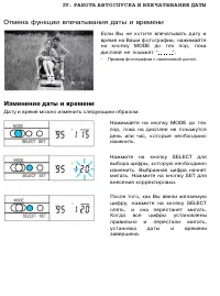 Страница 43