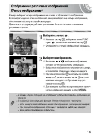 Страница 117