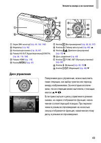 Страница 43